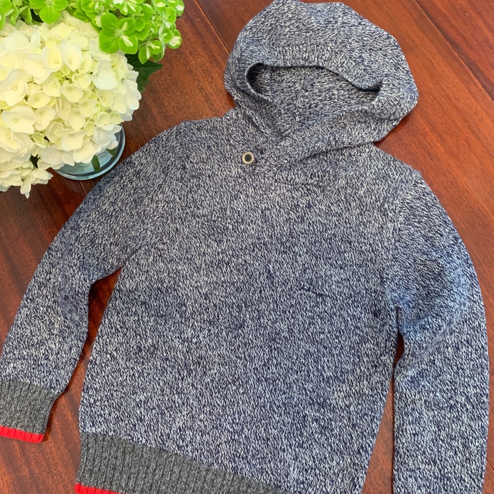 Boys Gap hooded sweater